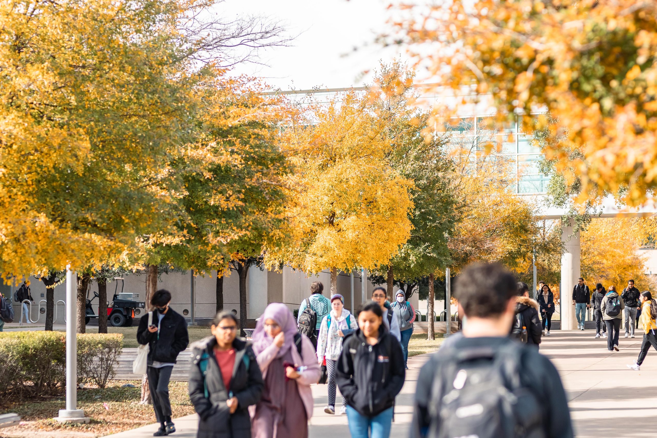 Students walking on the campus 